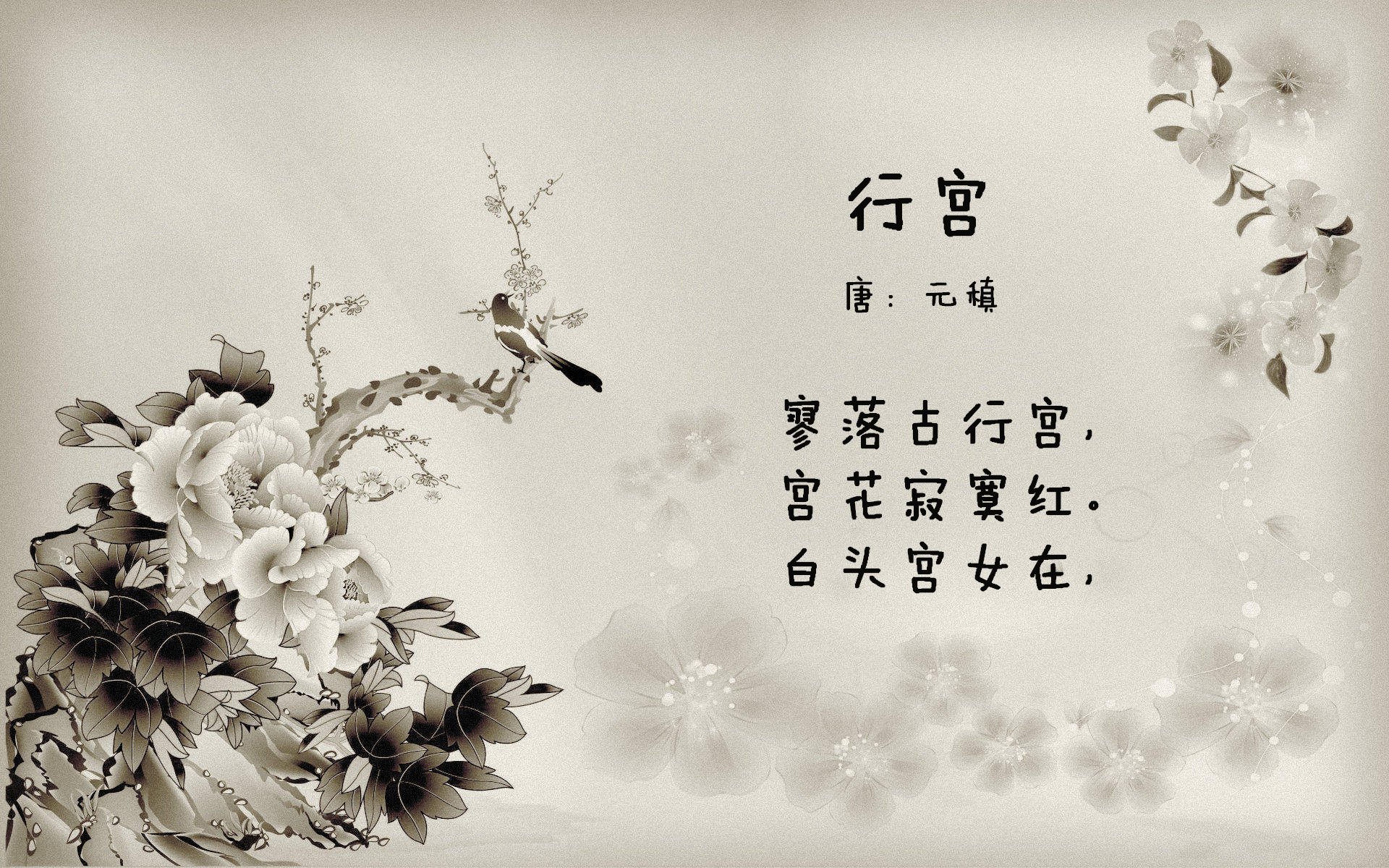 _猛龙坚持努力，逐步逼近季后赛_，18～19猛龙季后赛赛程