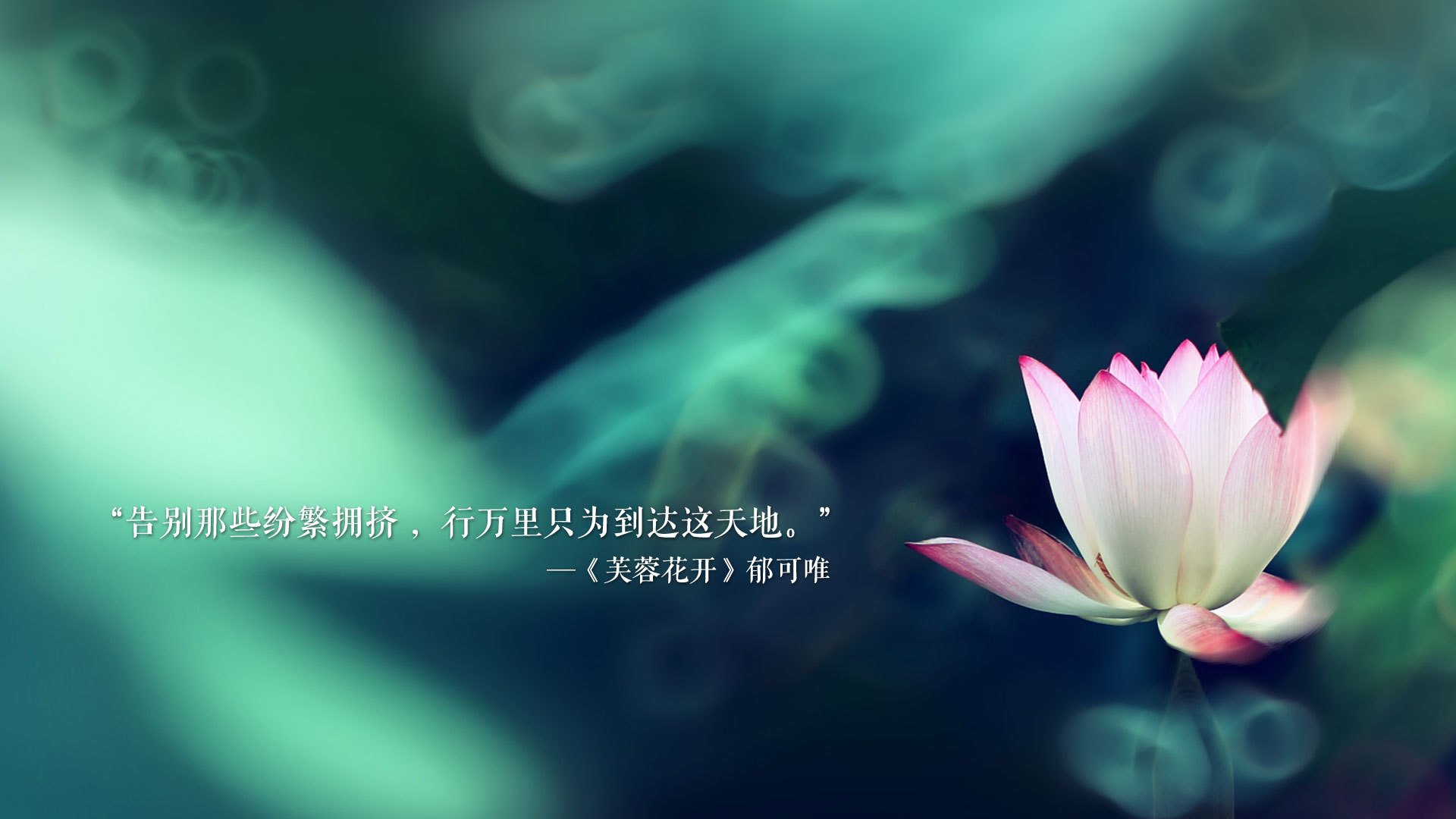 开云官网登录-_电子竞技融合：虚拟与现实的网球冠军争霸_，网球电子游戏