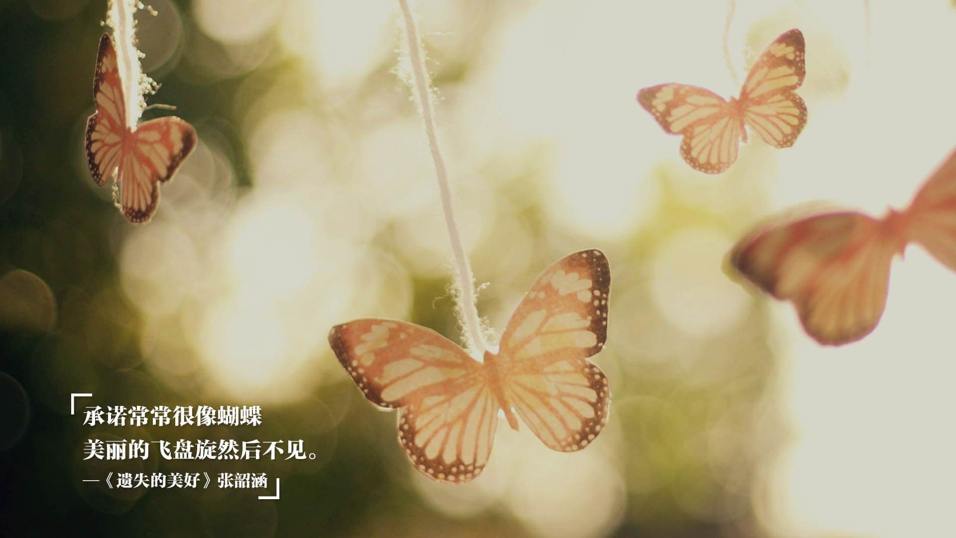 开云网页版登录入口-“全场焦点：明星球员的精彩表现点燃现场气氛”，明星球员图片