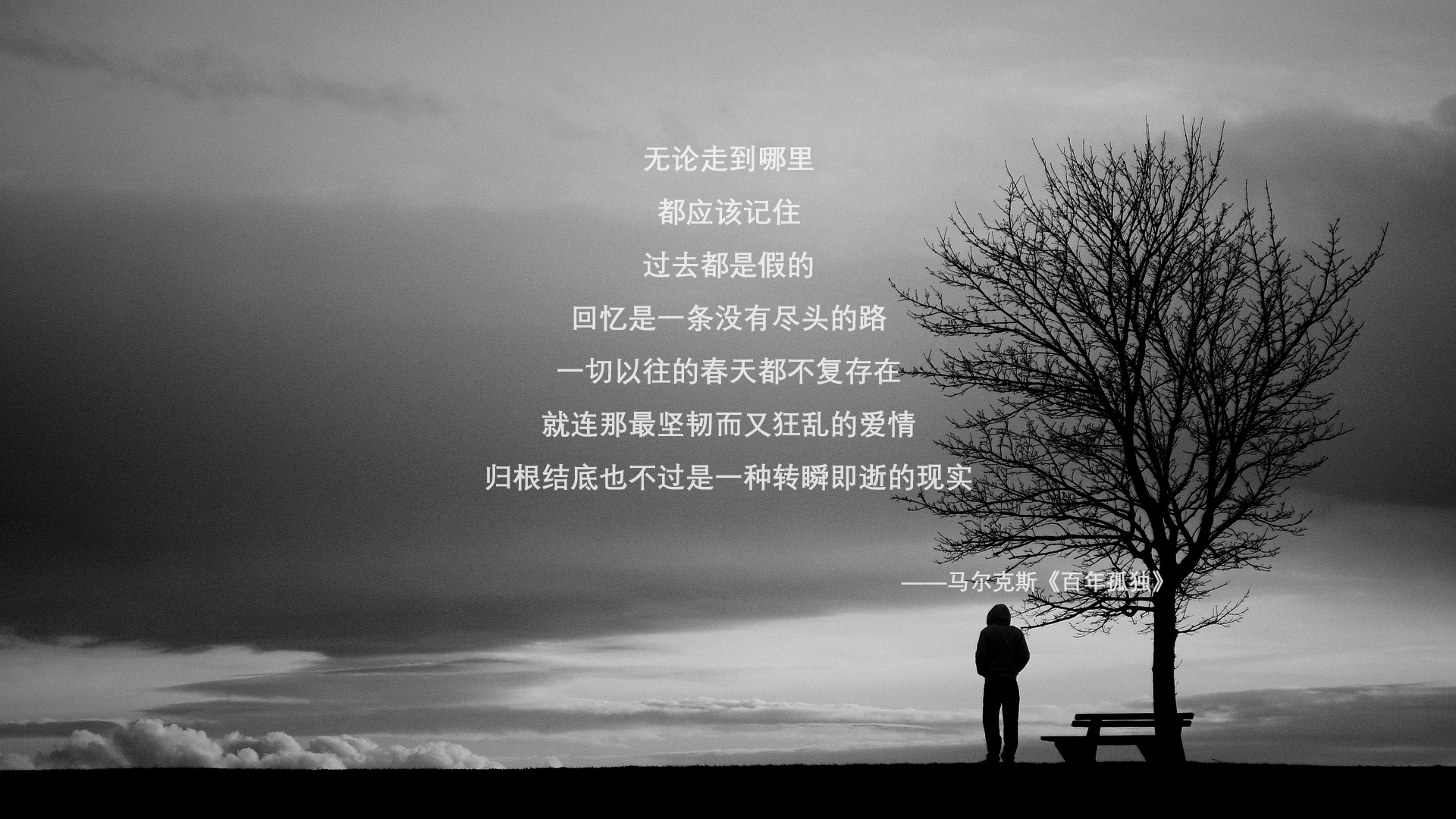 女子网球公开赛中国选手表现出色，晋级八强，女子网球公开赛视频
