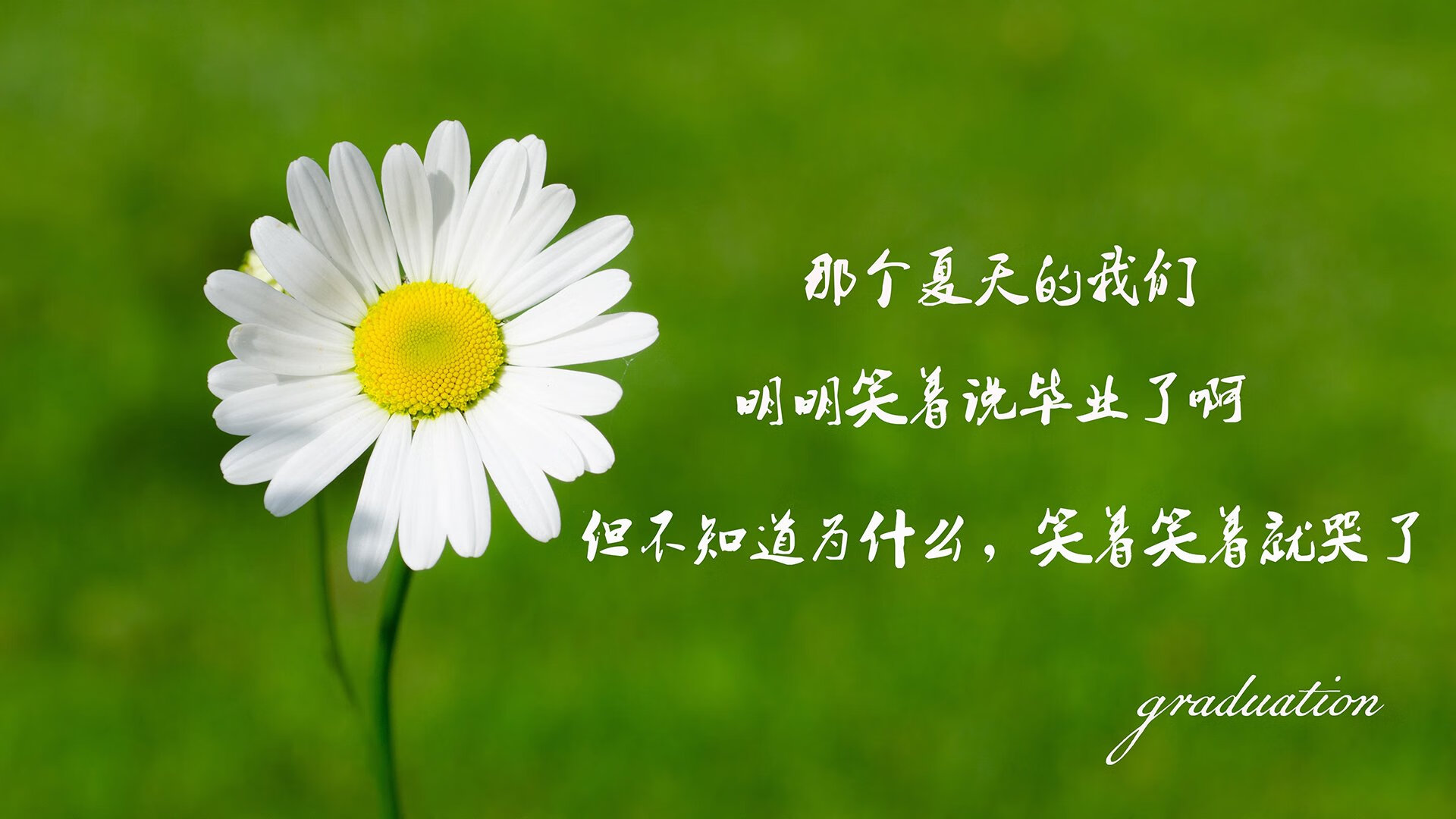 澳大利亚橄榄球收视率节节攀升，澳大利亚橄榄球比赛规则