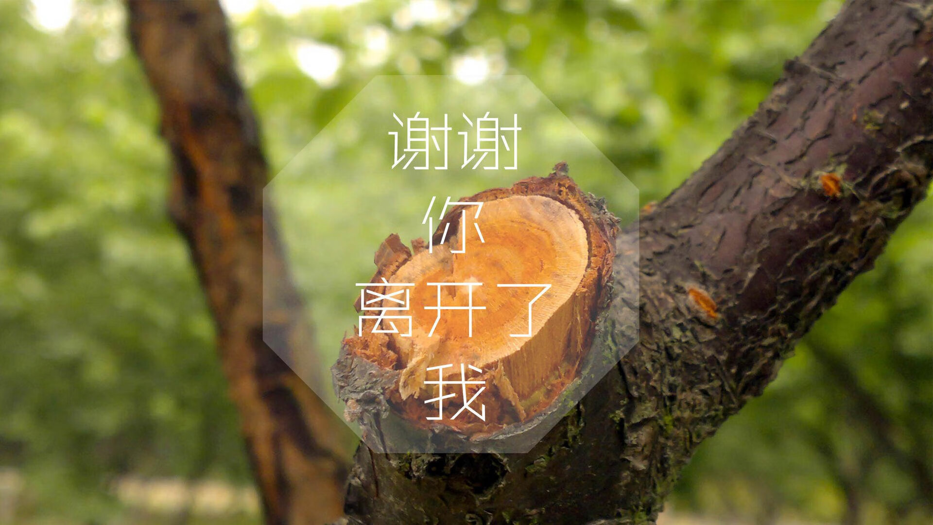kaiyun登录入口-英超争冠激烈：胜负变幻无常，悬念不断，英超冠军争夺
